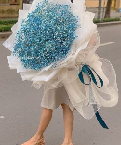 Janflower.vn Bbb1