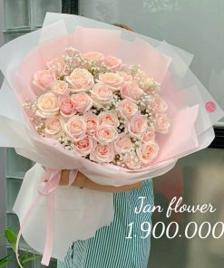47bd2c67 D6a4 4bff 8fb3 8475d27b2837